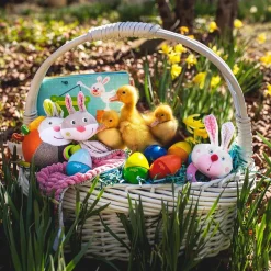 Discount HABA Big Bunny Bundle