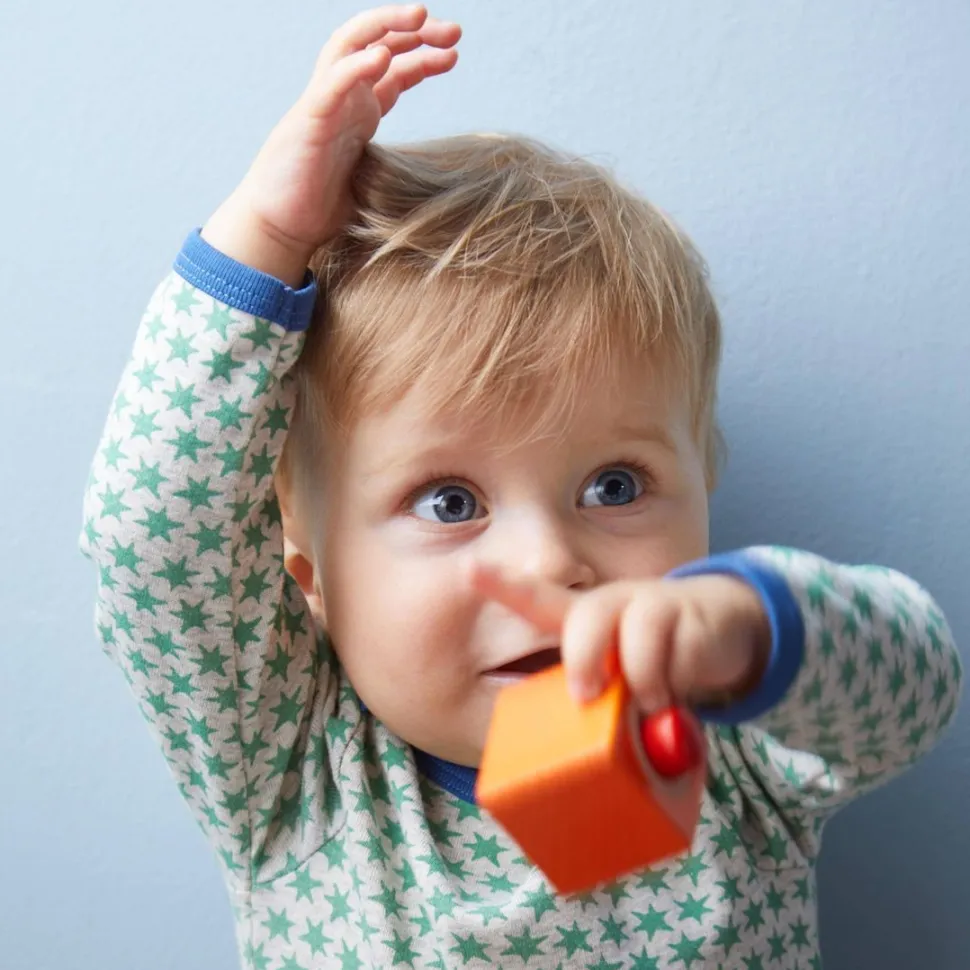 Clearance HABA Fun With Sounds Wooden Discovery Blocks