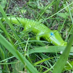 Discount HABA Little Friends Crocodile