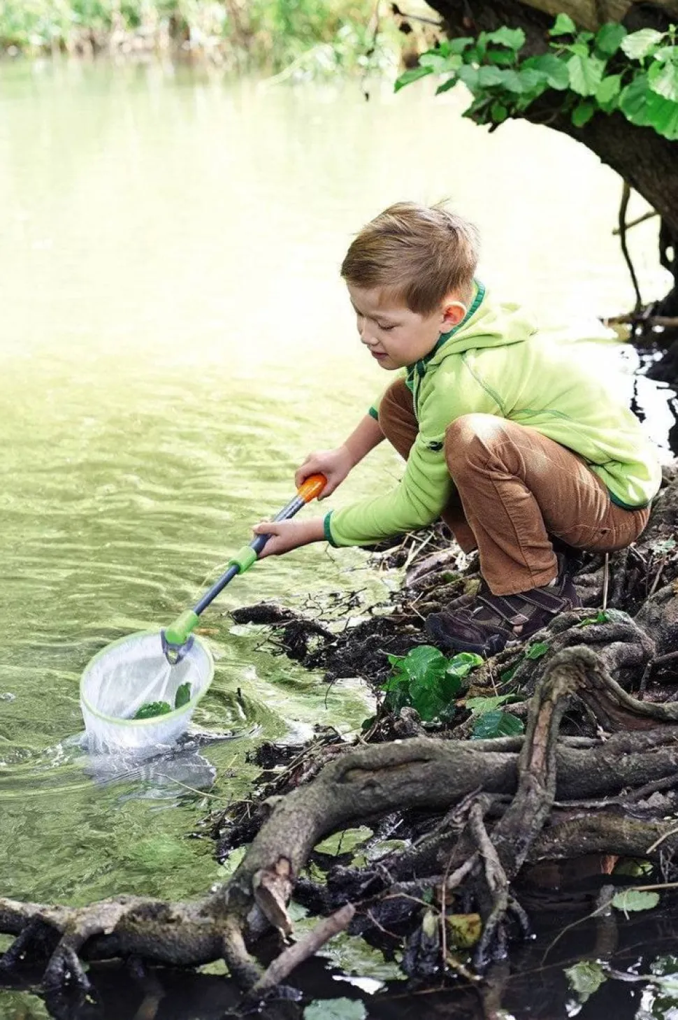 Flash Sale HABA Terra Kids - Scoop Net With Adjustable Handle