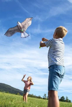Fashion HABA Terra Kids Bald Eagle Kite