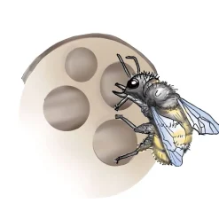 Discount HABA Terra Kids Insect Hotel Diy Assembly Kit